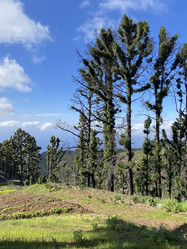 Similar image 21445241