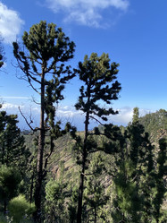 Similar image 21445242