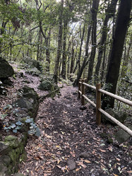 Similar image 21445245