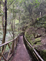 Similar image 21445247