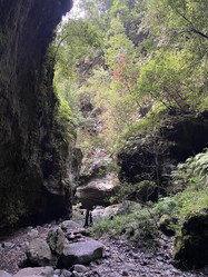 Similar image 21445248