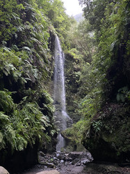 Similar image 21445249