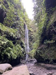 Similar image 21445250