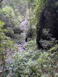 Similar image 21445252