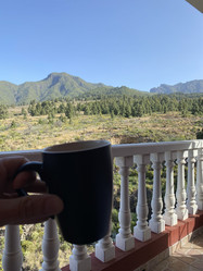 Similar image 21445253