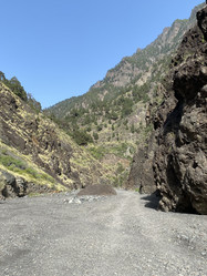 Similar image 21445254