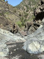 Similar image 21445255