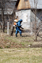 Similar image 21445059