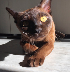 Similar image 21446328