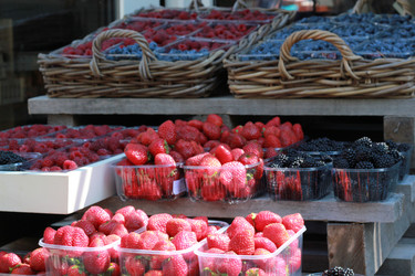 Similar image 21445744