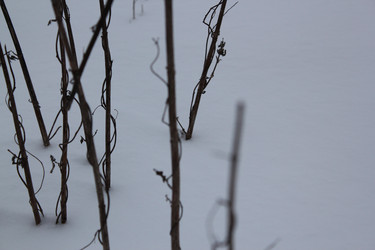 Similar image 21445746