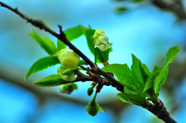 Similar image 21445062