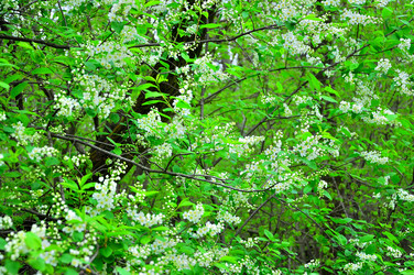 Similar image 21445063