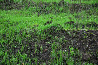 Similar image 21445064