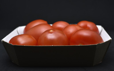 Similar image 21445069