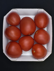 Similar image 21445070