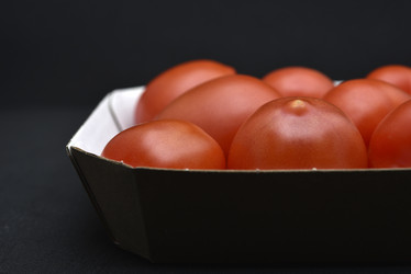 Similar image 21445071