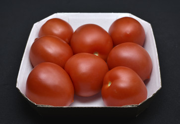 Similar image 21445072