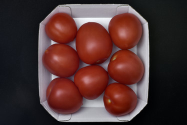 Similar image 21445074