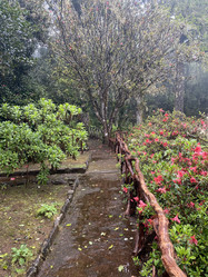 Similar image 21445099