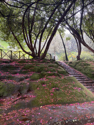 Similar image 21445100