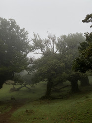 Similar image 21445108