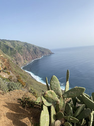 Similar image 21445291