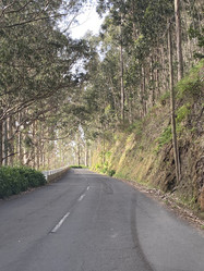 Similar image 21445293