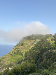 Similar image 21445295