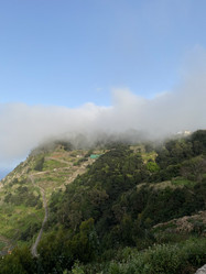 Similar image 21445299