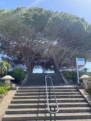 Similar image 21445303