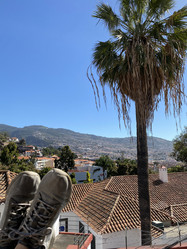 Similar image 21445305