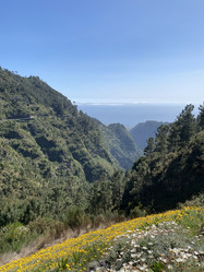 Similar image 21445307