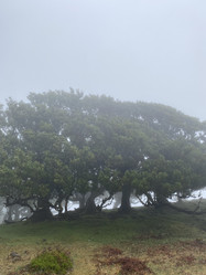 Similar image 21445313