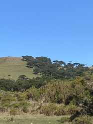 Similar image 21445322