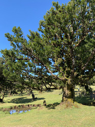 Similar image 21445324