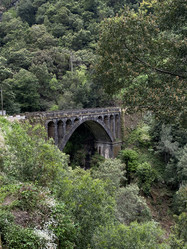 Similar image 21445325