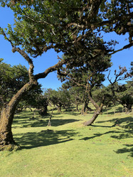 Similar image 21445326