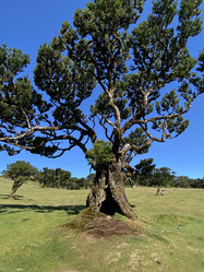 Similar image 21445327