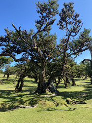 Similar image 21445330