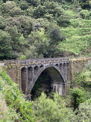 Similar image 21445331