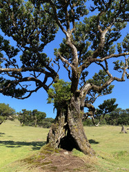 Similar image 21445332