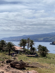 Similar image 21445342