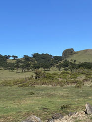 Similar image 21445346