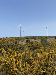 Similar image 21445351