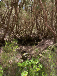 Similar image 21445357