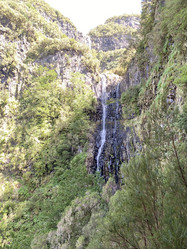 Similar image 21445362