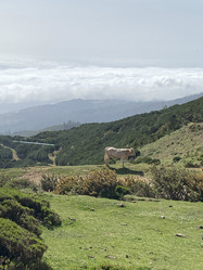 Similar image 21445365