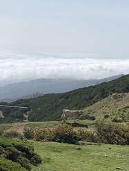 Similar image 21445366