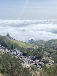 Similar image 21445368